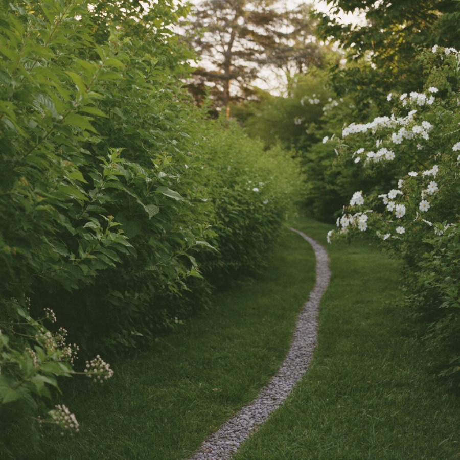 Weg durch einen grünen Garten